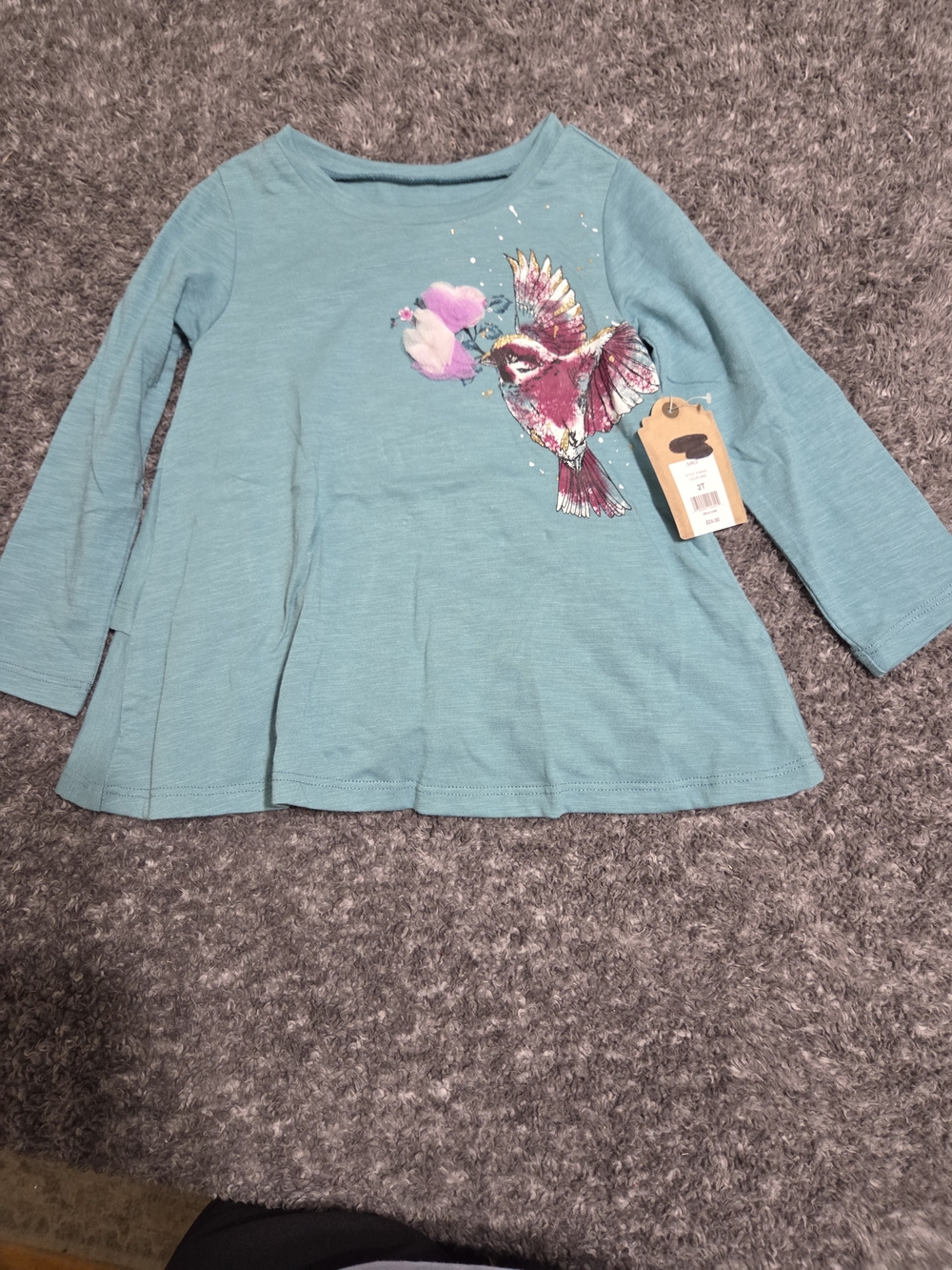 True Craft Teal Long-Sleeve Top with Colorful Bird Graphic